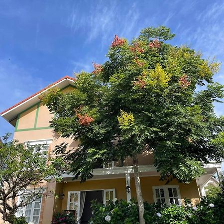 Bich Dao Boutique - Dalat Hotel Exterior photo