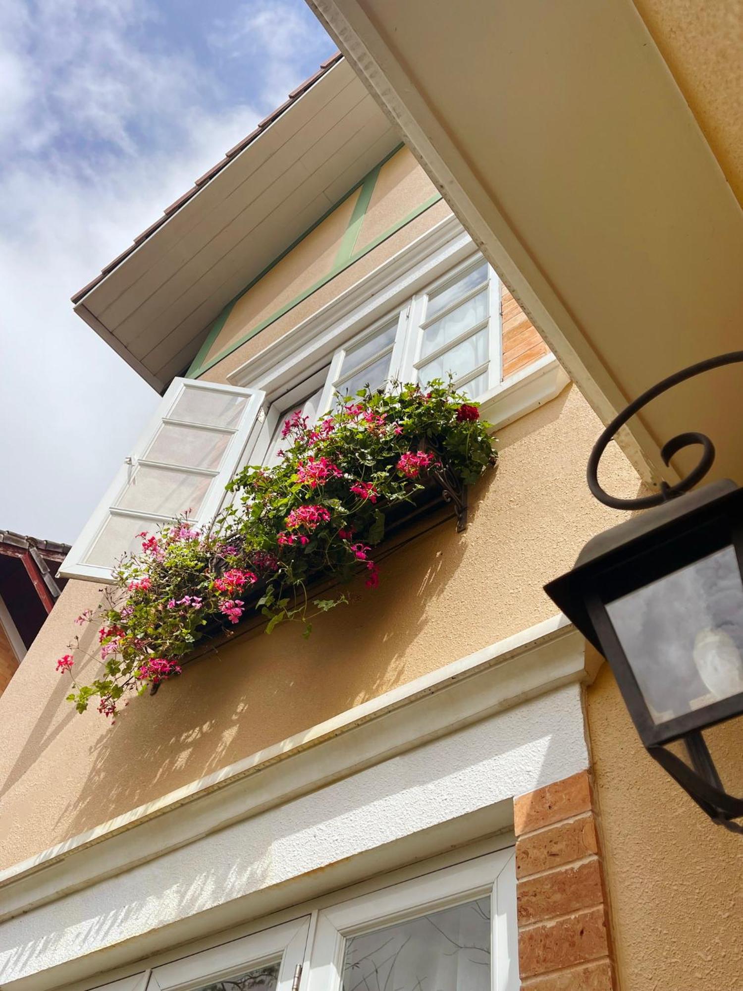 Bich Dao Boutique - Dalat Hotel Exterior photo