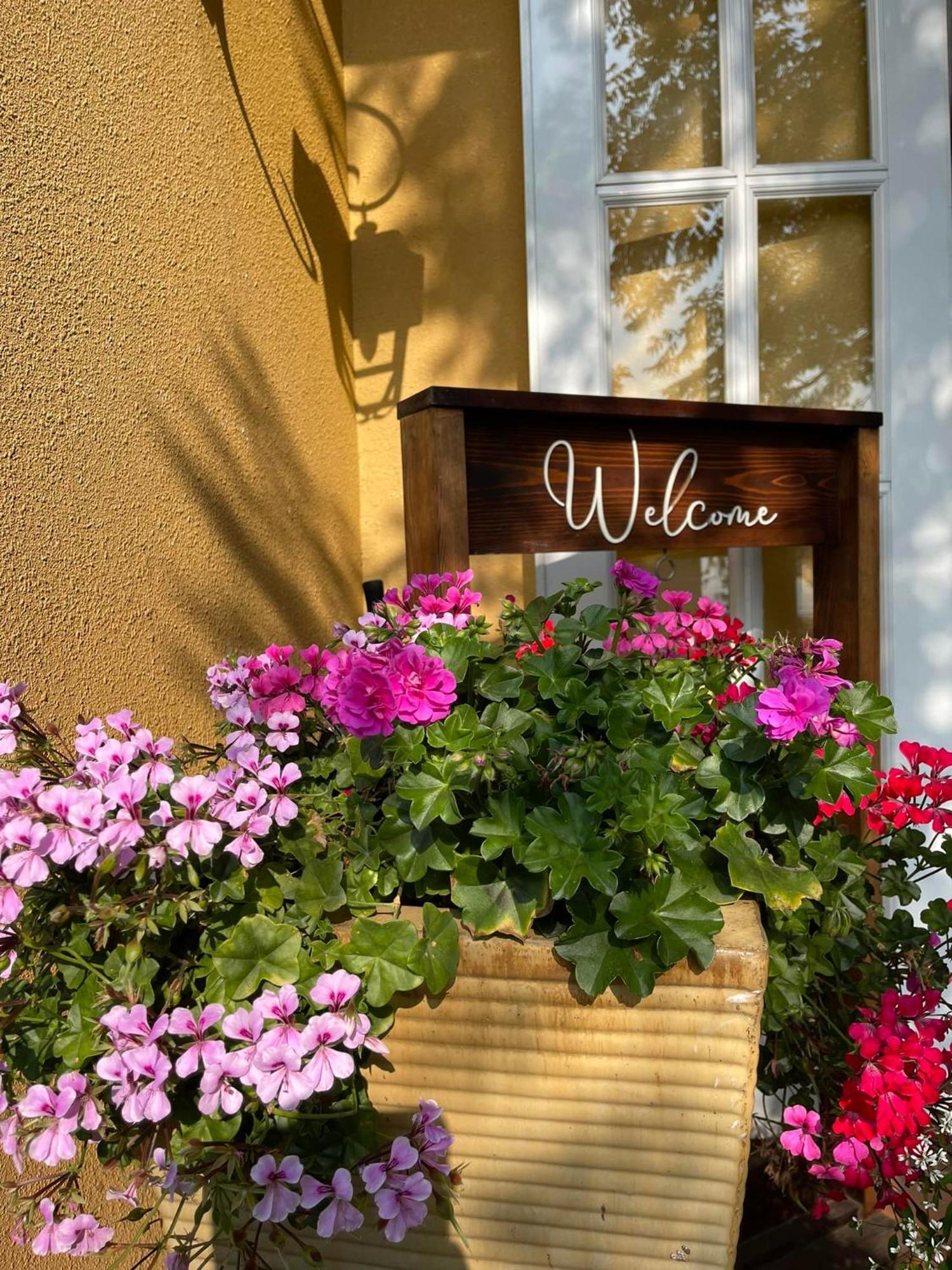 Bich Dao Boutique - Dalat Hotel Exterior photo