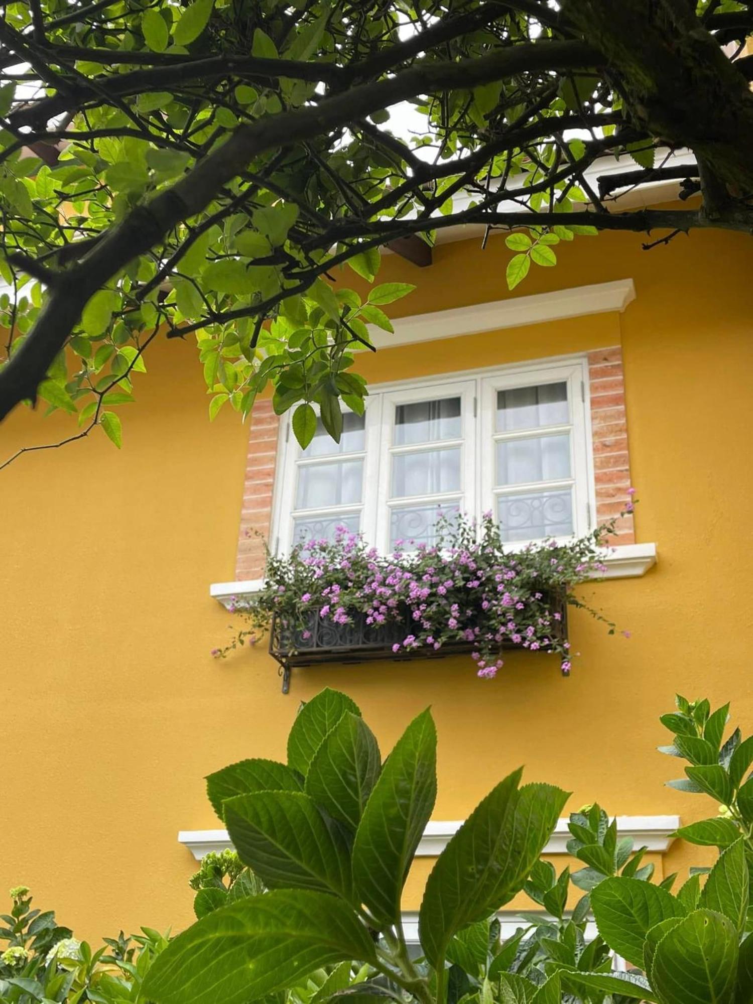 Bich Dao Boutique - Dalat Hotel Exterior photo