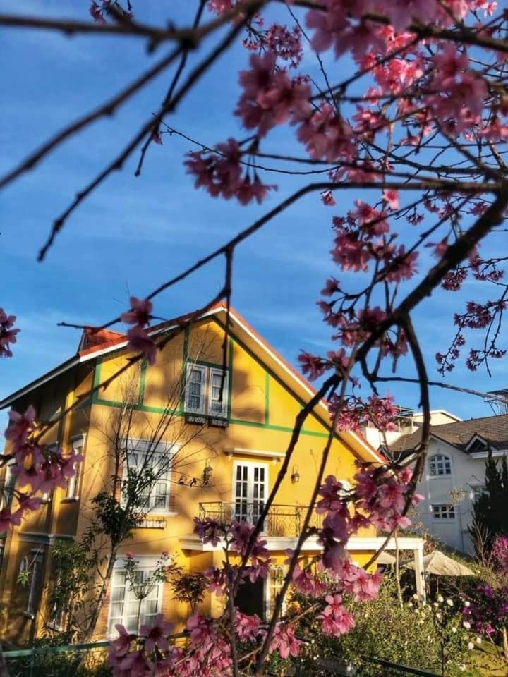 Bich Dao Boutique - Dalat Hotel Exterior photo