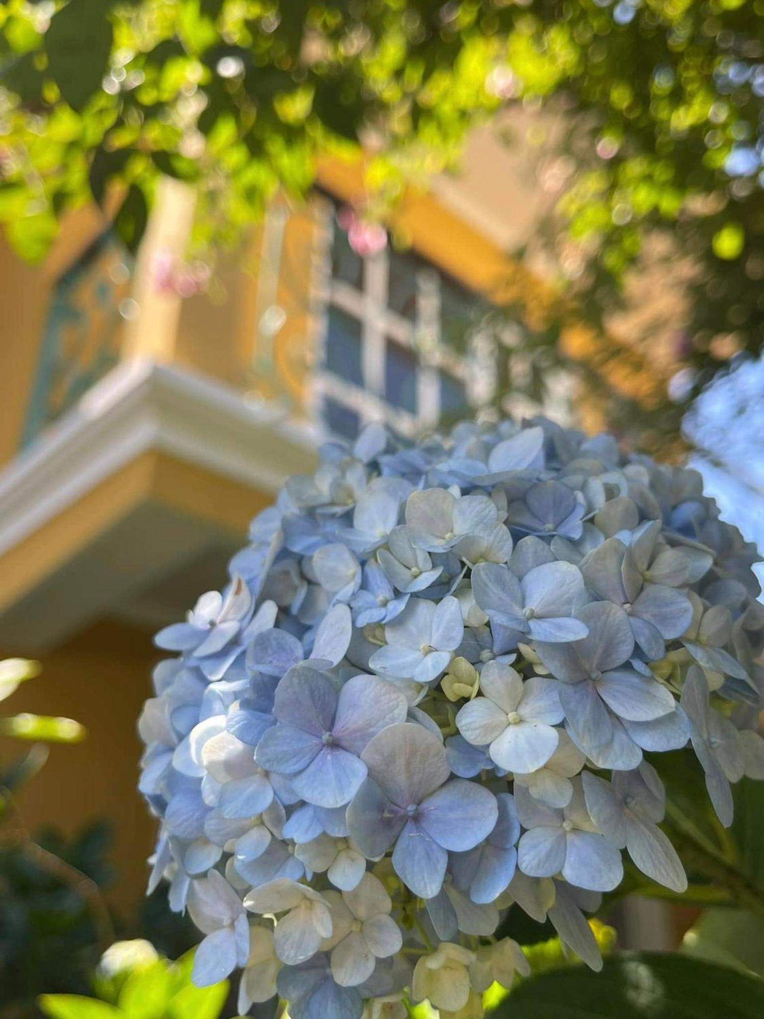 Bich Dao Boutique - Dalat Hotel Exterior photo